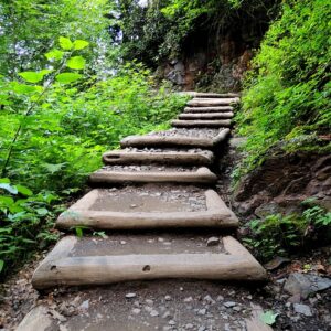 path, stairway, trail, staircase, step, pathway, walkway, progress, climb, color, up, ladder, faith, green path, progress, progress, progress, progress, progress